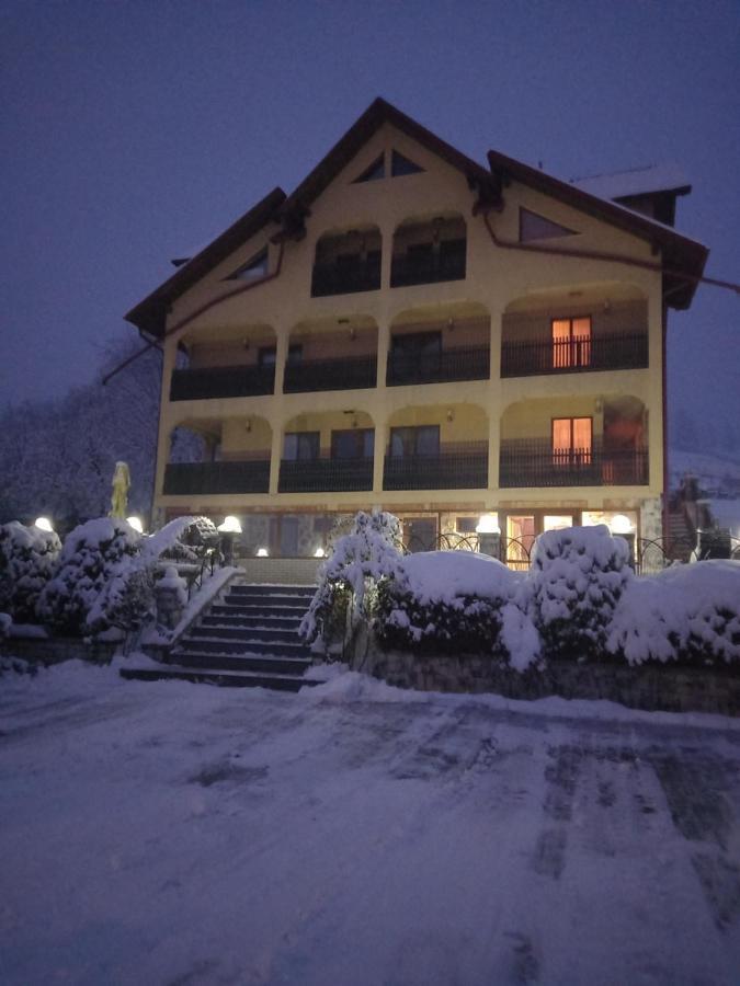 Hotel Pensiunea Alunis Sadová Exterior foto