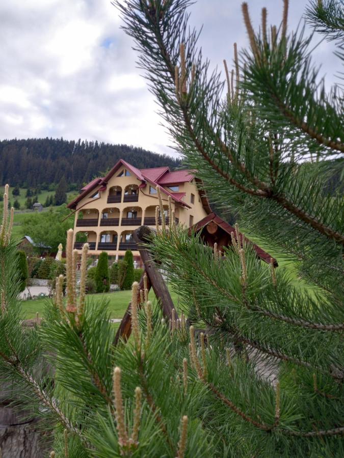 Hotel Pensiunea Alunis Sadová Exterior foto