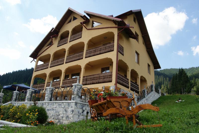 Hotel Pensiunea Alunis Sadová Exterior foto