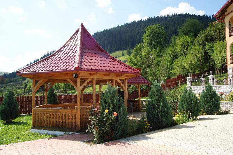 Hotel Pensiunea Alunis Sadová Exterior foto