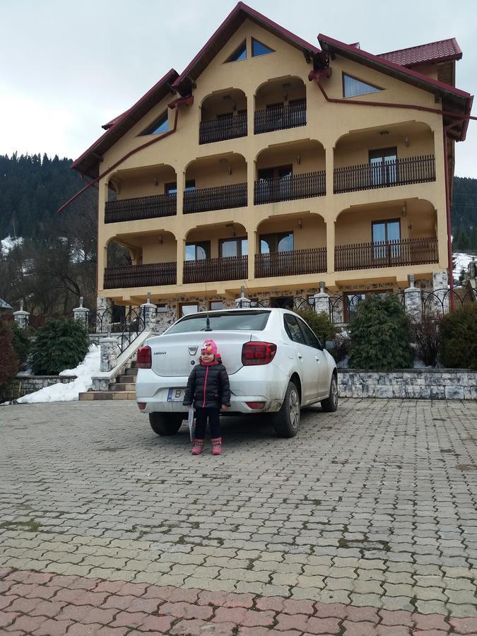 Hotel Pensiunea Alunis Sadová Exterior foto